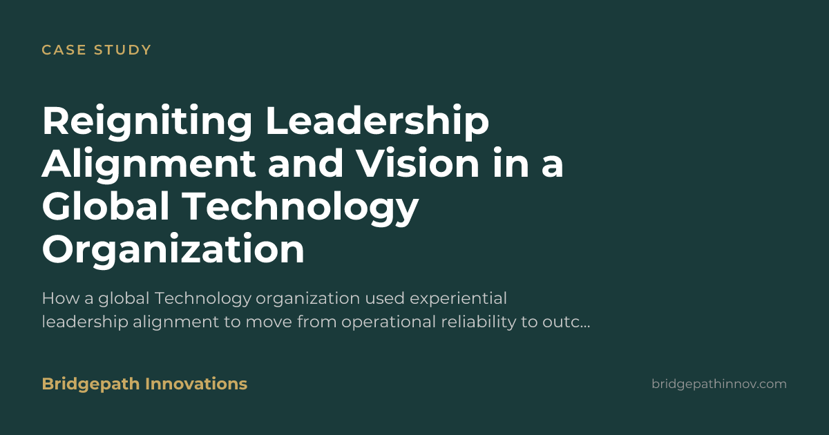 Reigniting Leadership Alignment and Vision in a Global Technology ...